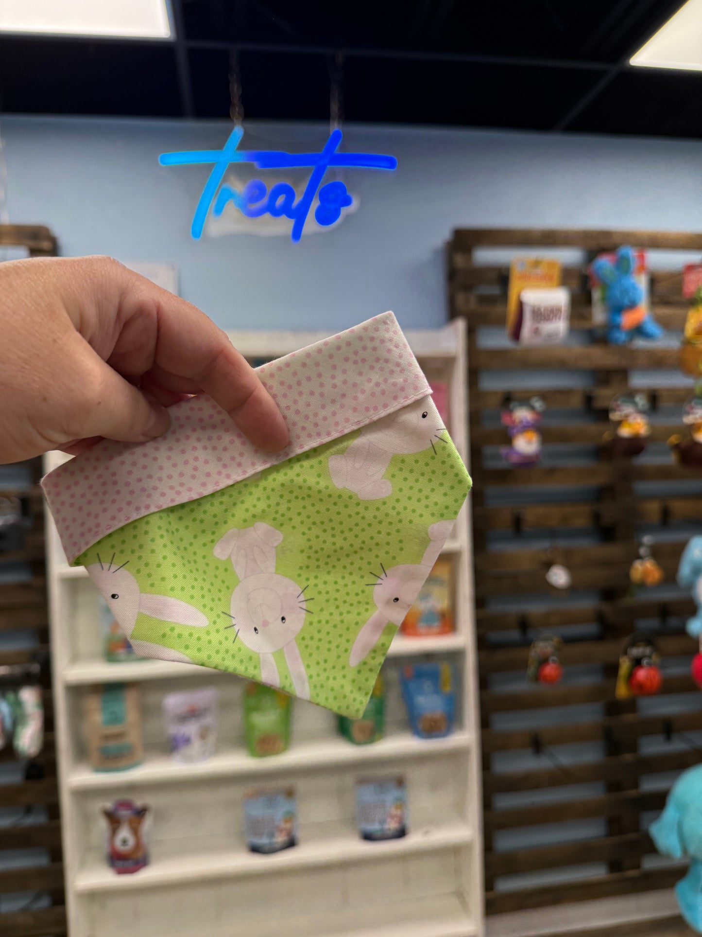 Chloe-Max Mint Bunny Bandana