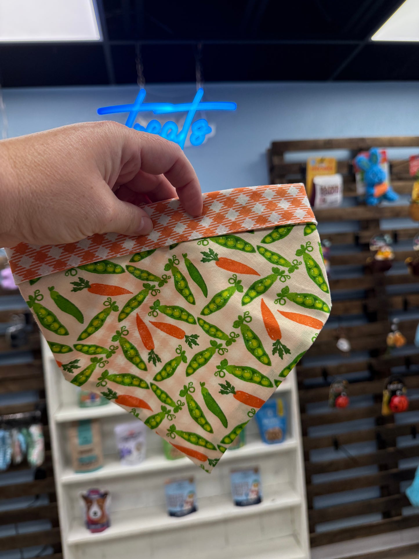 Chloe-Max Peas & Carrots Bandana Medium