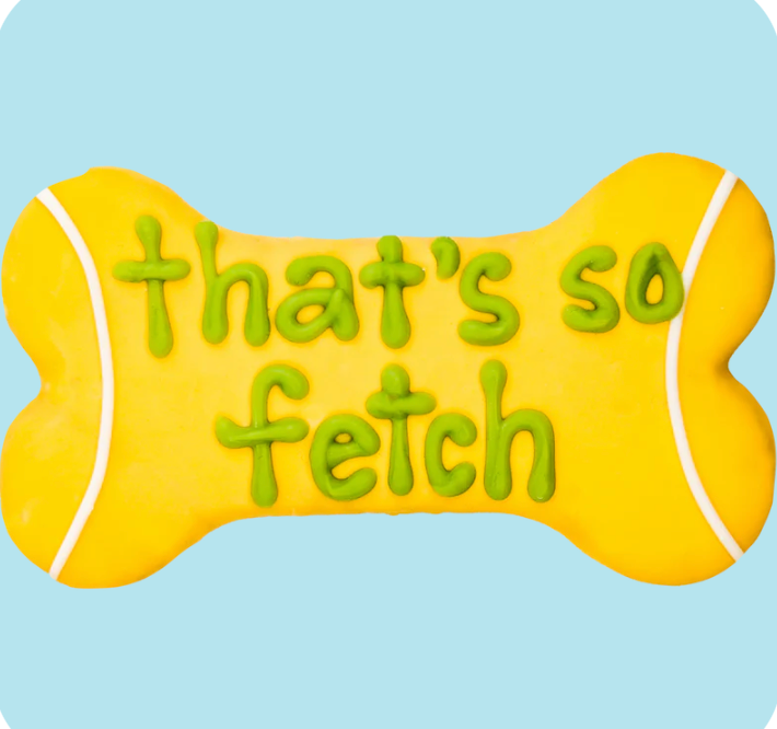 Cookie That's So Fetch 6 inch Bone