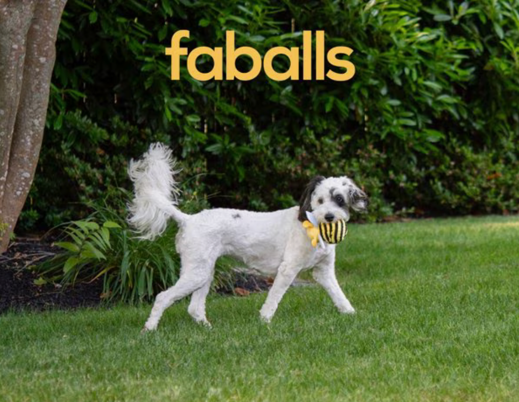 fabdog Bumble Bee faball Squeaky Dog Toy