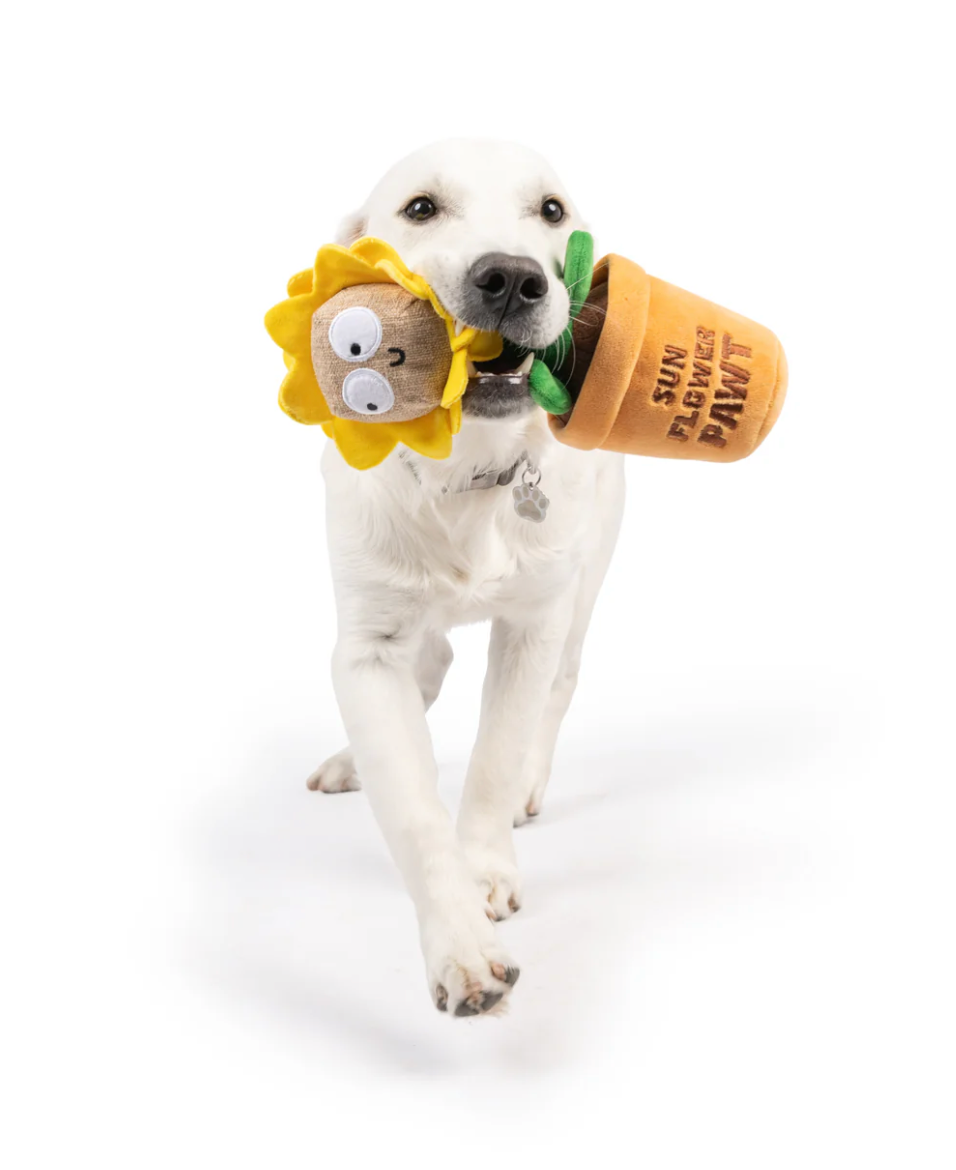Huxley & Kent seek 'n treat sunflower pawt dog toy