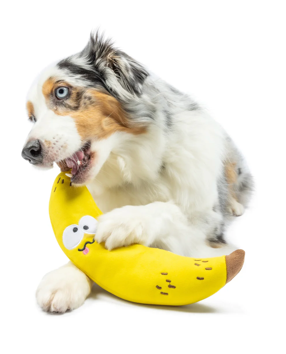 Huxley & Kent fetchies® bruiser banana