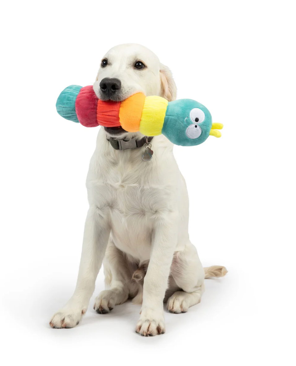 Huxley & Kent fetchies® caterpillar dog toy
