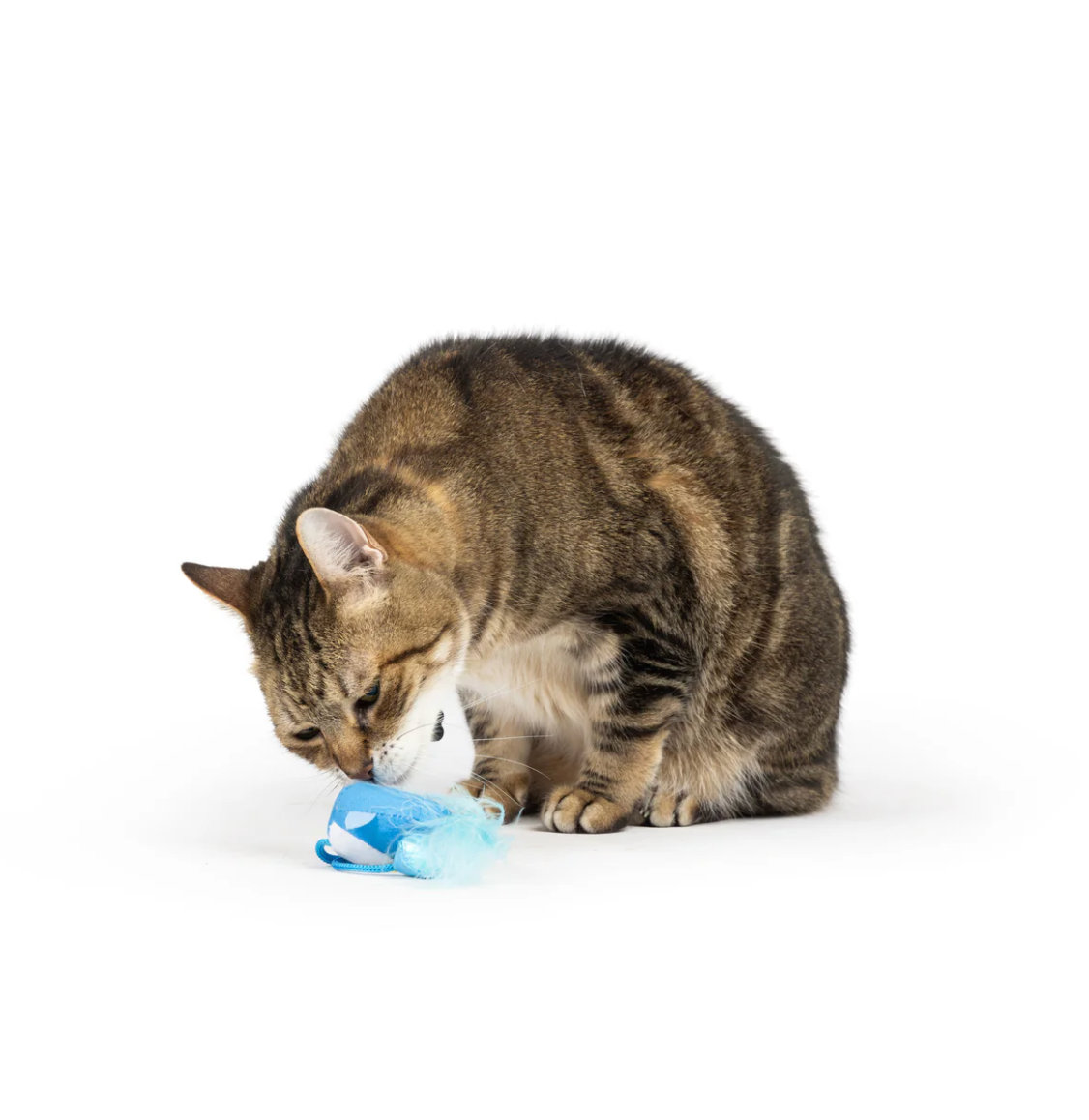 Huxley & Kent bluebird chirpy cat toy
