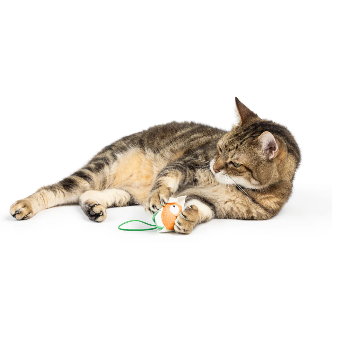 Huxley & Kent flower flinger cat toy