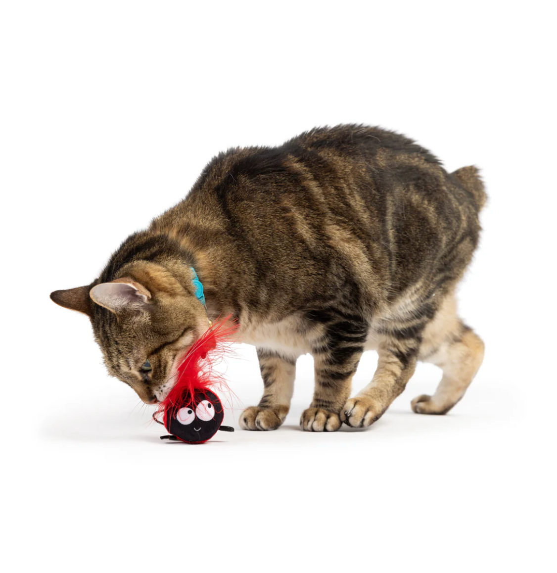 Huxley & Kent ladybug flinger cat toy