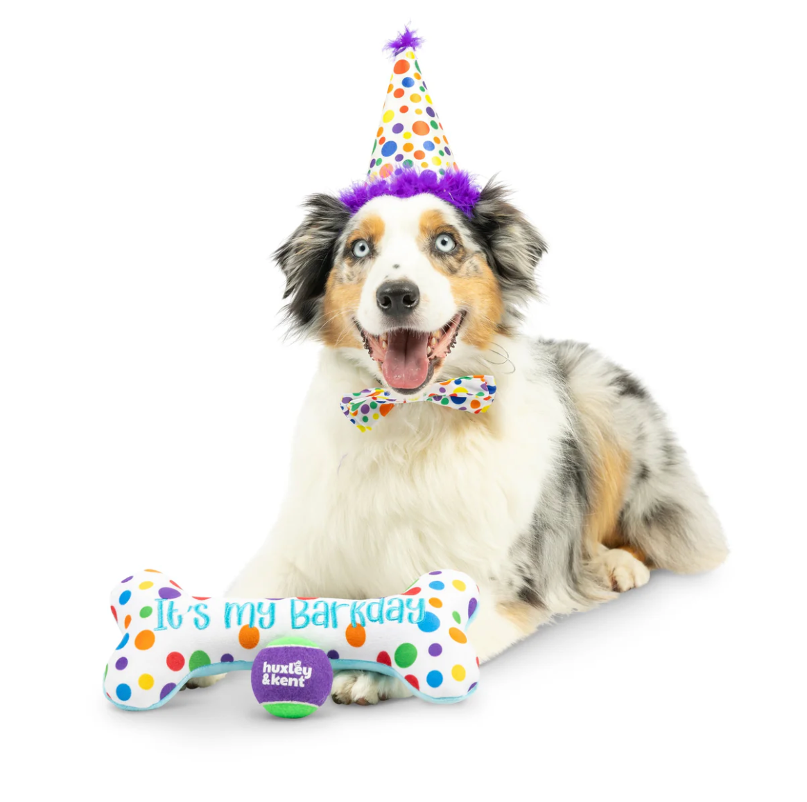 Huxley & Kent happy barkday celebration box