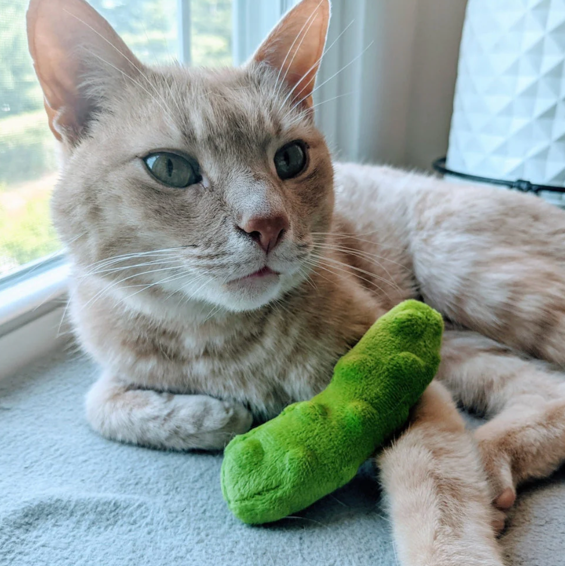 Huxley & Kent pickle cat toy