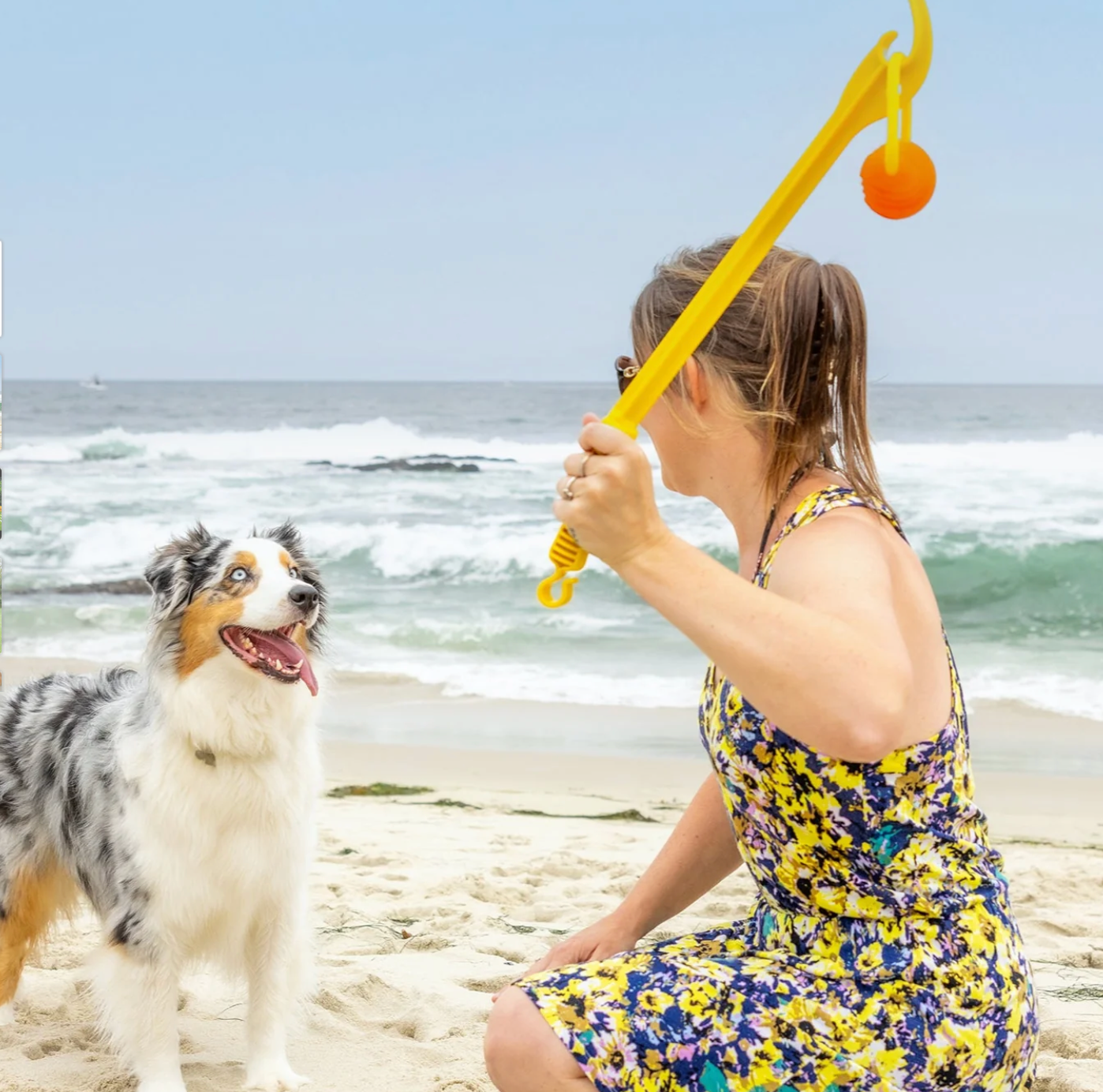 Project Hive™ Zoomer Dog Toy Launcher & Looped Ball