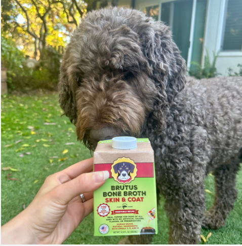 Brutus Bone Broth Mini Skin & Coat Formula - Vegetable Broth