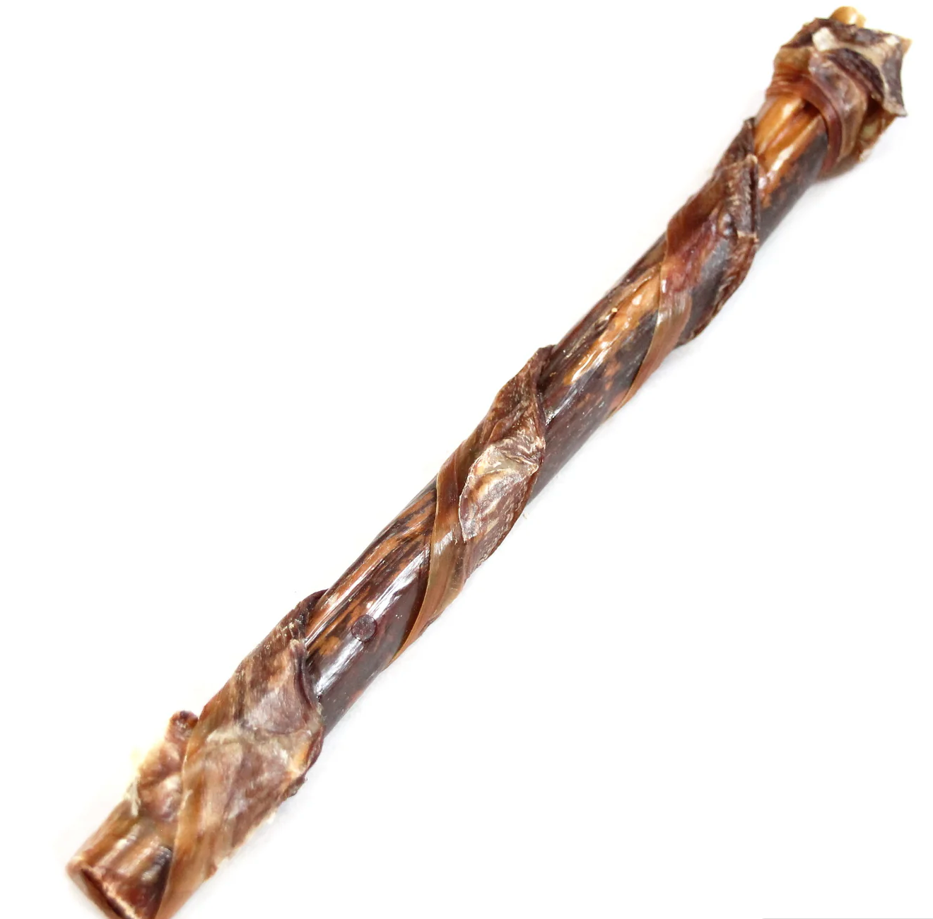 Tuesday's 12" Tremenda Chewy Bulls