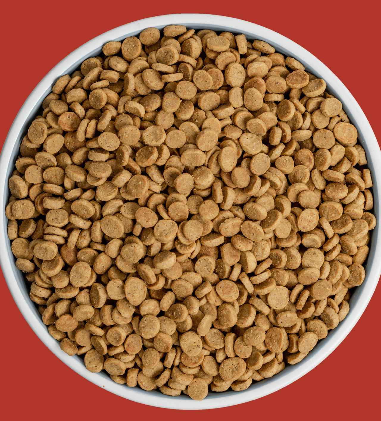 Rawbble® Dry Food for Dogs – Beef Recipe 4lb