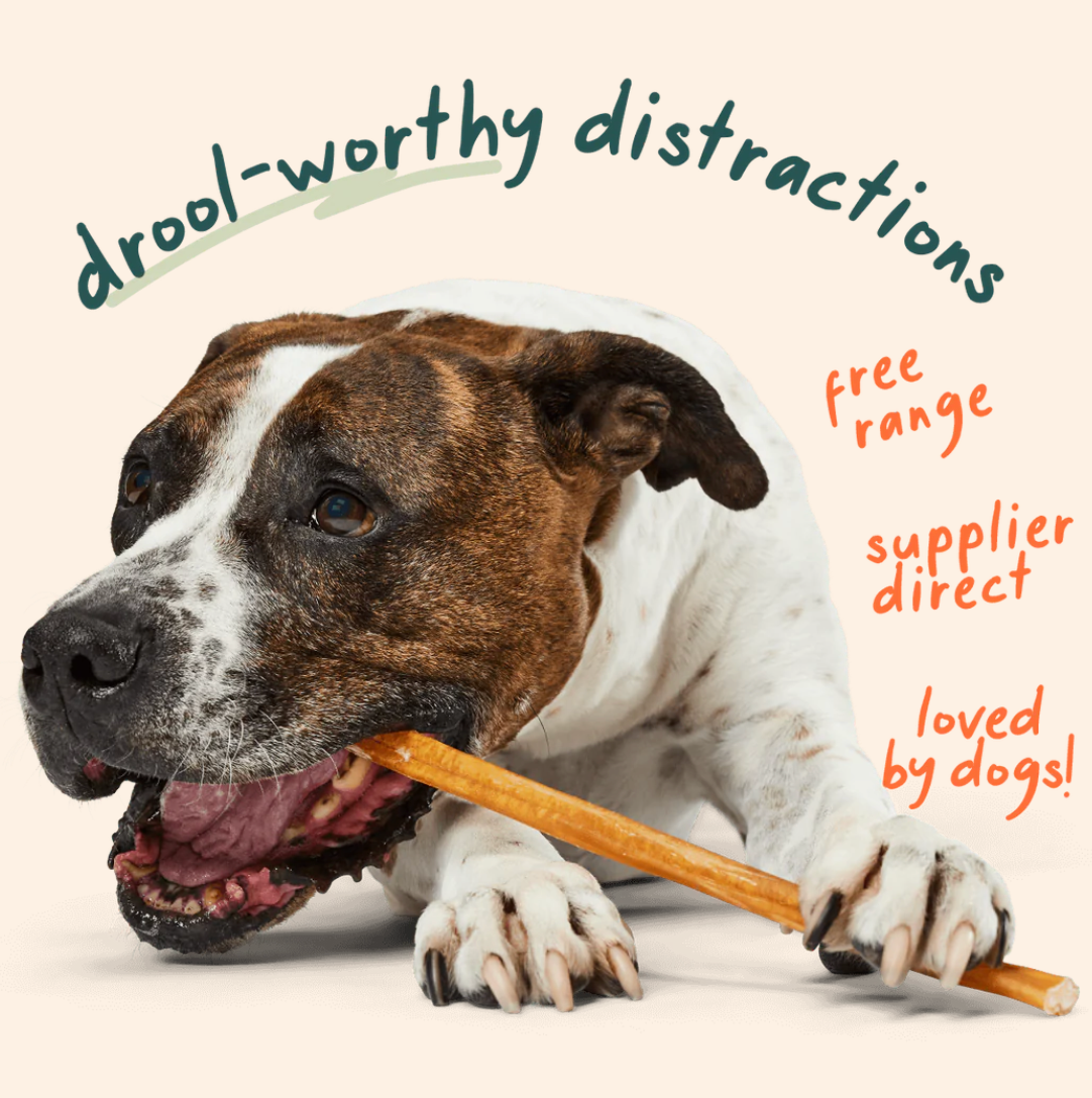 Woof Pet Free Range Bully Sticks