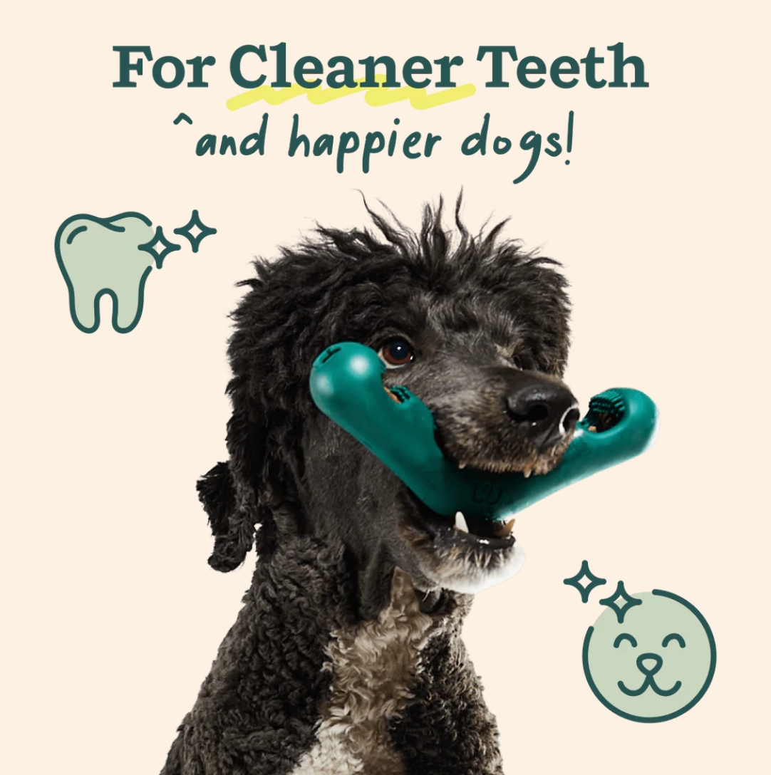 Woof Pet The Bite n' Brush