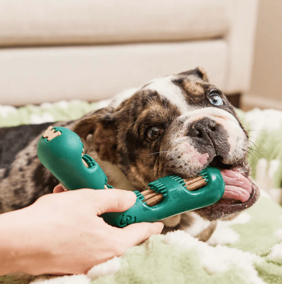 Woof Pet The Bite n' Brush