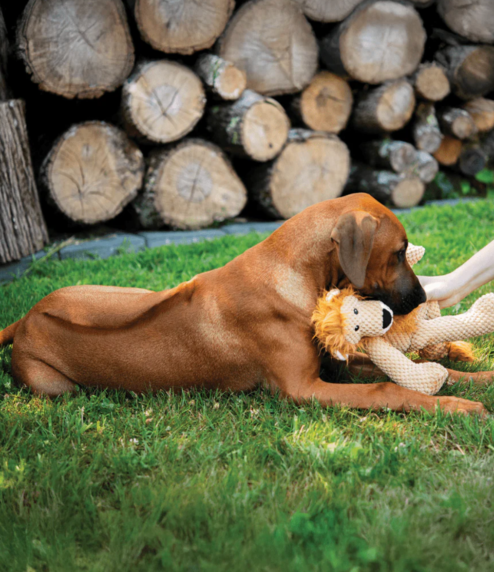 fabdog Floppy Lion