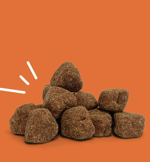 Zesty Paws Advanced Behavior Calming Soft Chews for Dogs - Turkey Flavor - 60ct
