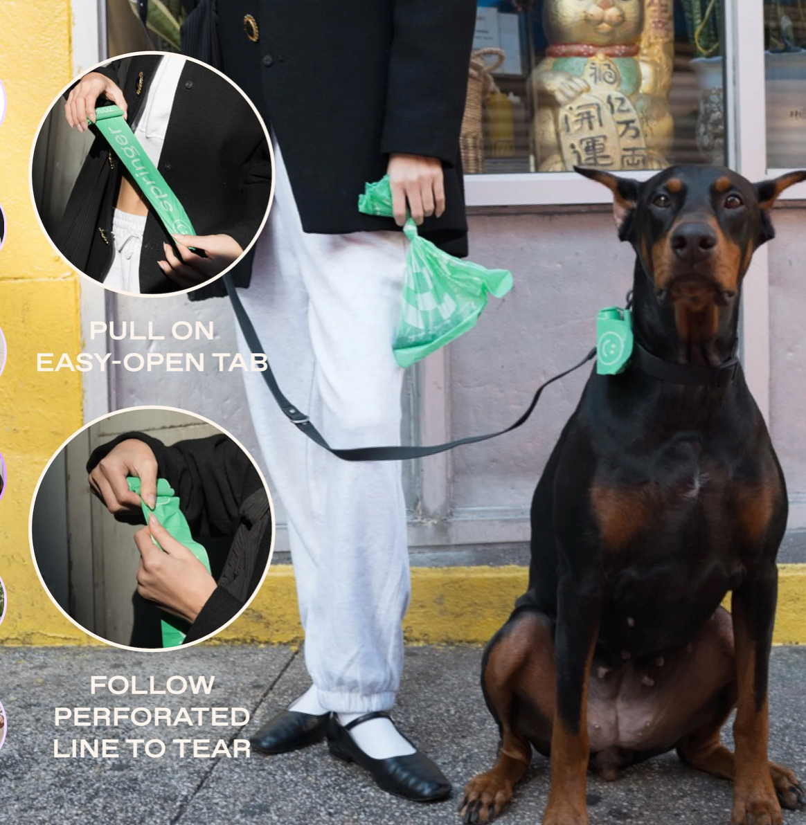 Springer Dog Poop Bag Dispenser + 15 Premium Poop Bags