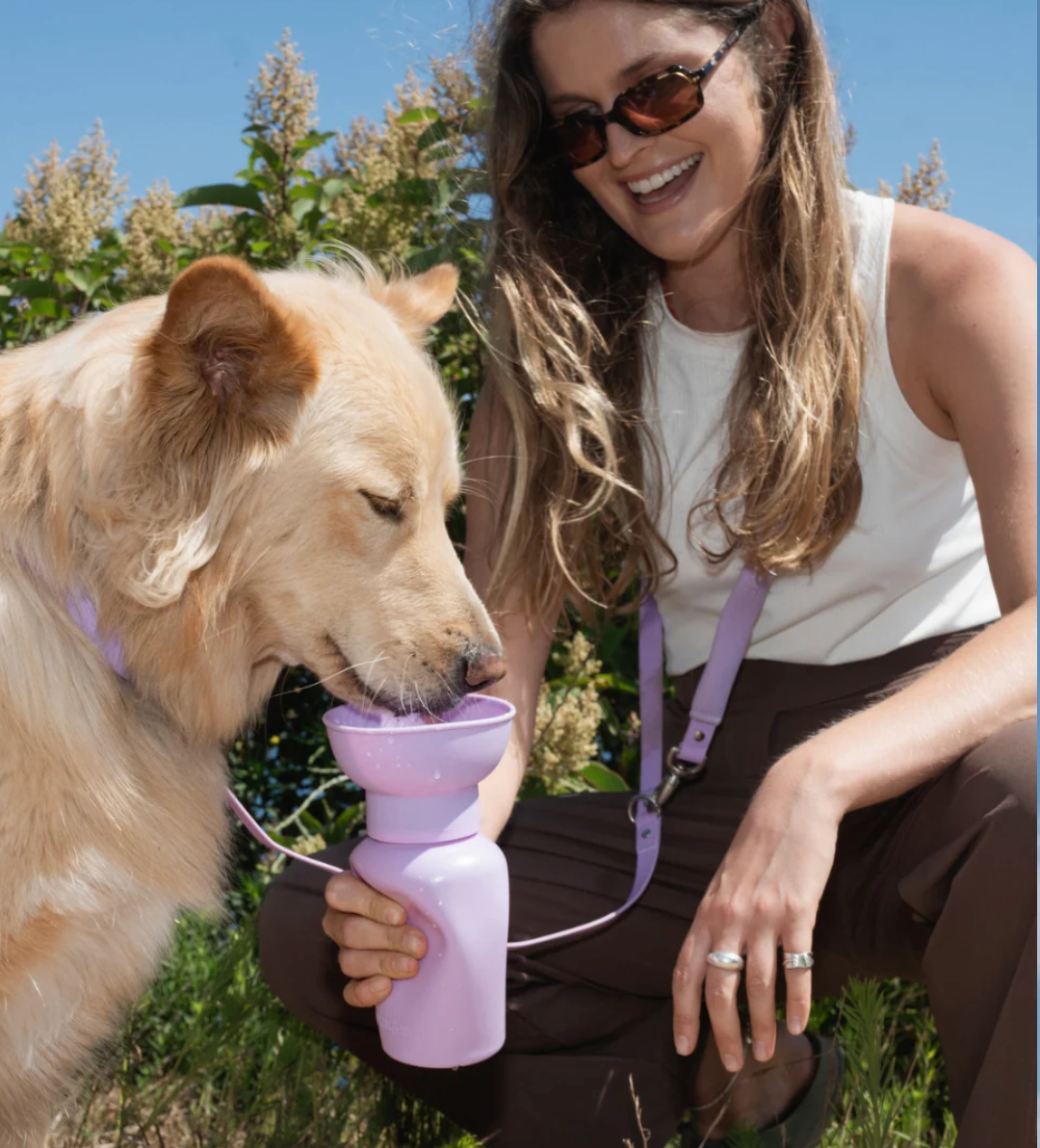 Springer Flip Dog Travel Bottle