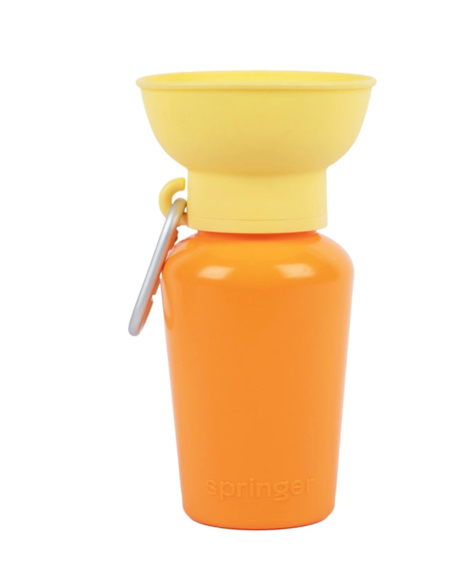 Springer Flip Dog Travel Bottle