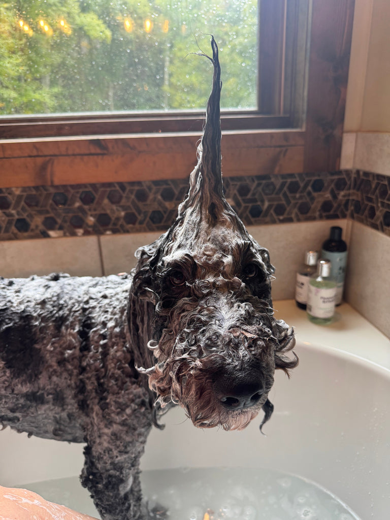 Grooming