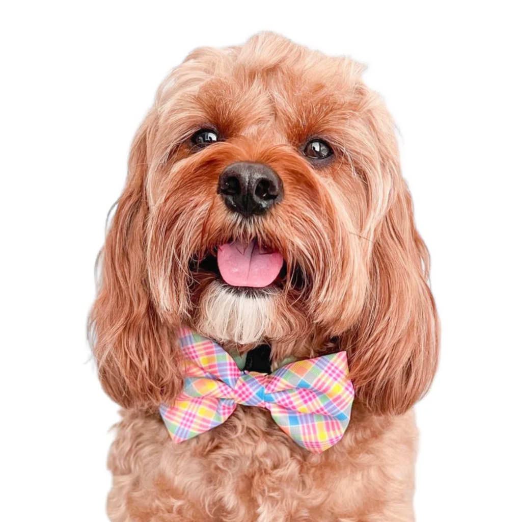 Bandanas & Bowties