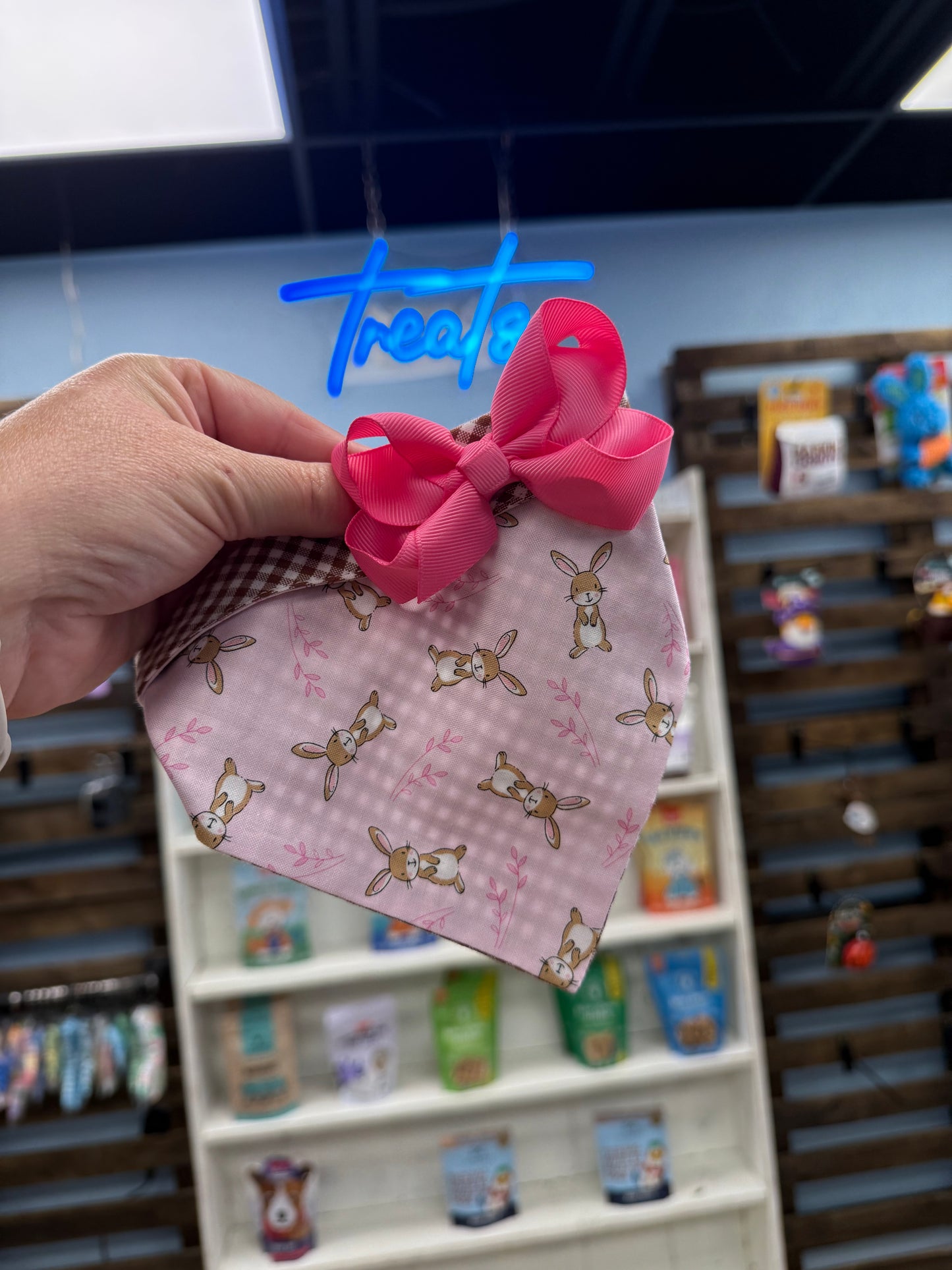 Chloe-Max Pink Bunny Bow Bandana