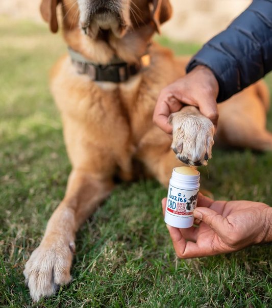 Suzie's CBD - Anti-Itch Stick