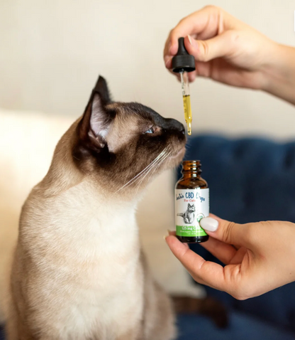 Suzie's 125 mg CBD Oil for Cats