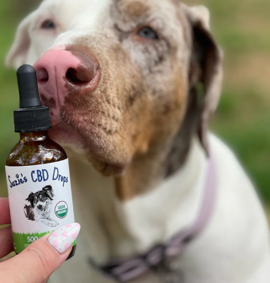 Suzie's 500 mg CBD Oil for Dogs