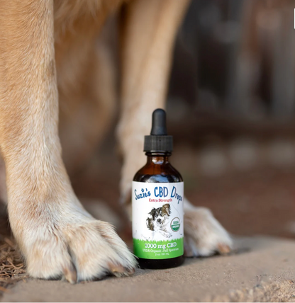Suzie's 1000 mg CBD Oil for Dogs