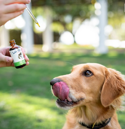 Suzie's 1000 mg CBD Oil for Dogs
