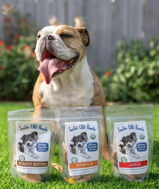 Suzie's CBD 4 mg CBD Dog Treat Hearts