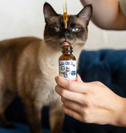 Suzie's CBD Drops - UTI Support
