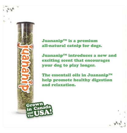 Doggijuana Tuffer Chewer Refillable Donut Dog Toy