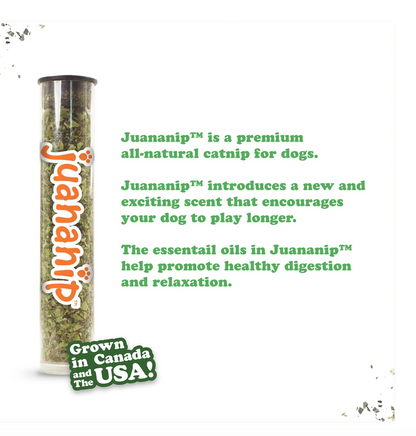 Doggijuana Tuffer Chewer Refillable Eggs and Bacon Dog Toy, Medium