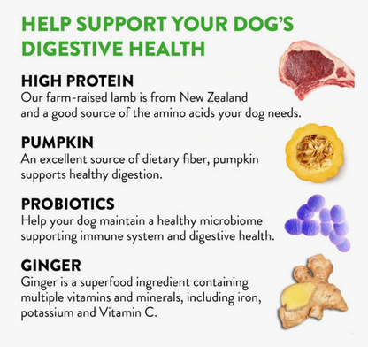 Dogswell Gut Health Meaty Jerky Dog Treats, Lamb