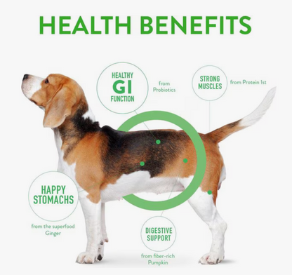 Dogswell Gut Health Meaty Jerky Dog Treats, Lamb