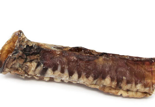 Tuesday's Beef Trachea