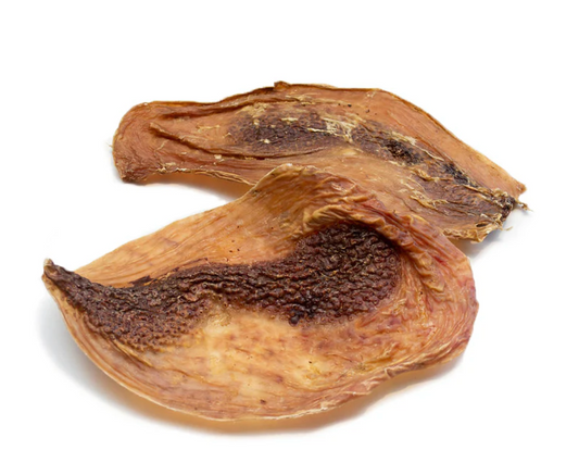Tuesday's Ostrich Disks