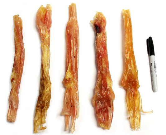 Tuesday's XL Beef Tendon