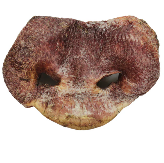 Vital Essentials Raw Bar Freeze-Dried Pig Snout