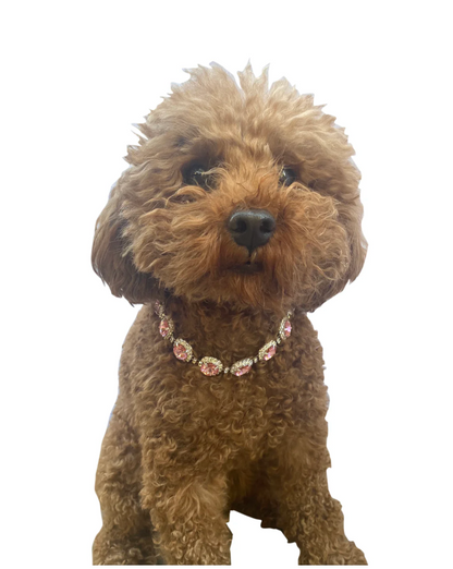 The Dog Squad Pink Crystal Rhinestone Dog Necklace