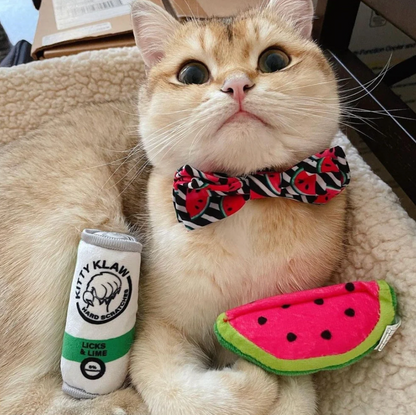 Huxley & Kent Kitty Klaw Licks & Lime Cat Toy