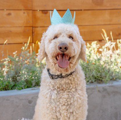 Huxley & Kent Party Crowns with SnugFit®