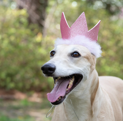 Huxley & Kent Party Crowns with SnugFit®