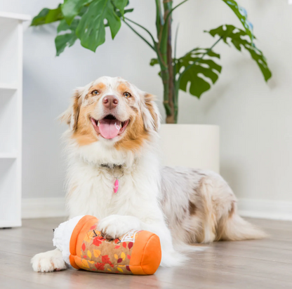 Huxley & Kent Puggin Spice Latte Dog Toy (Double Sided)