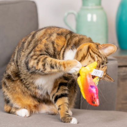 Huxley & Kent Rainbow Guppy Cat Toy