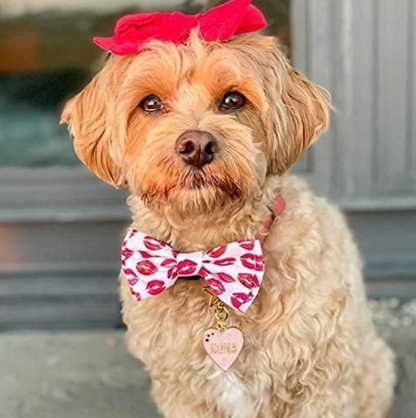 Huxley & Kent Valentine Day Kisses Bow Tie for Pets