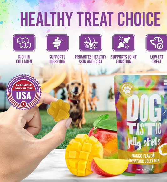 SodaPup Dogtastic Jelly Shots – Mango Flavored